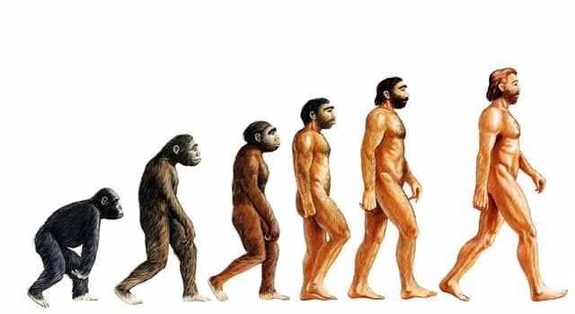 Darwin’s theory