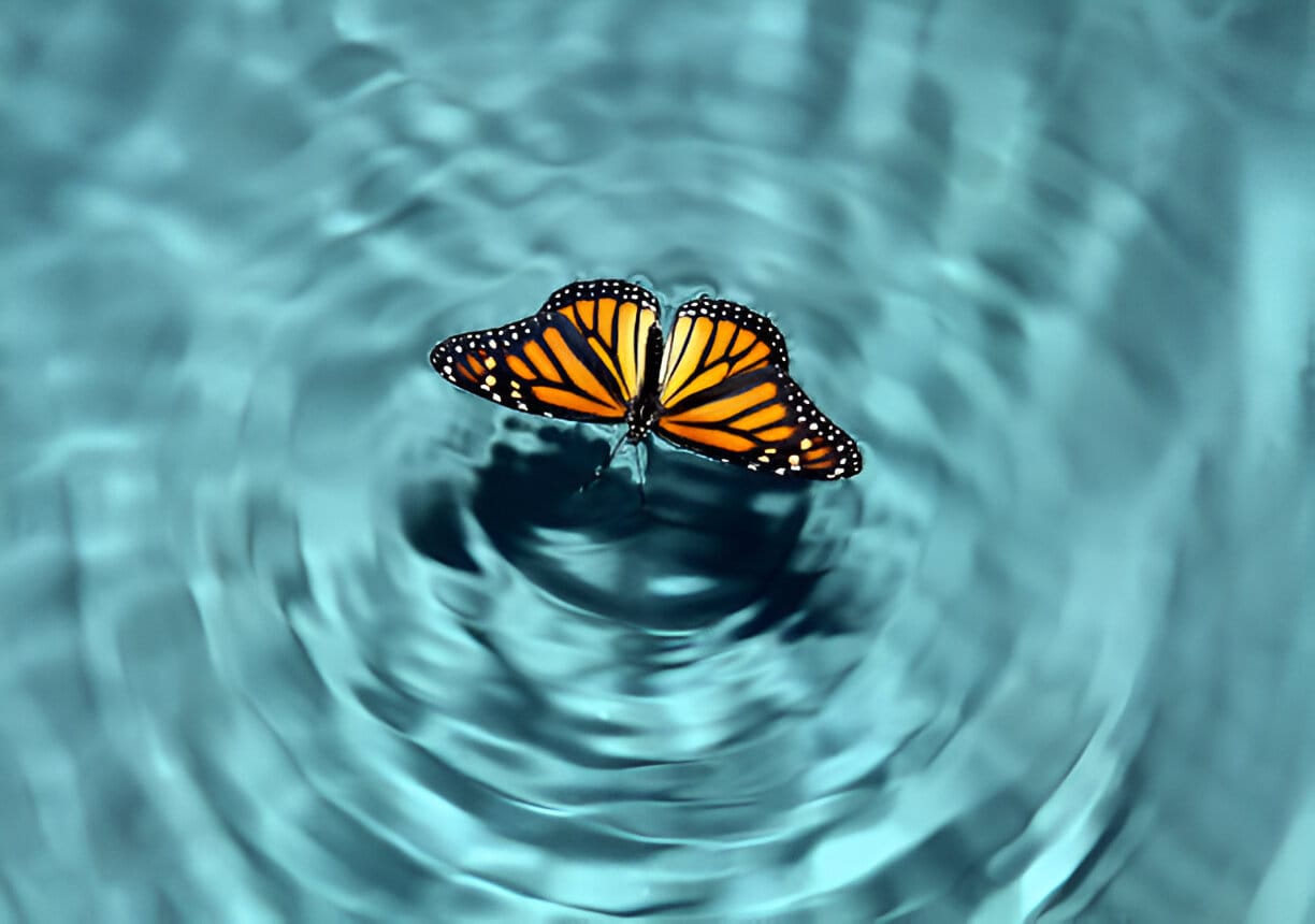 butterfly effect theory